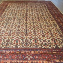 Image of Ziegler Mahal Carpet