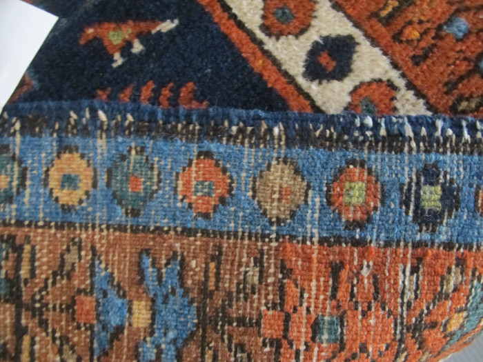 North-West Persian Runner