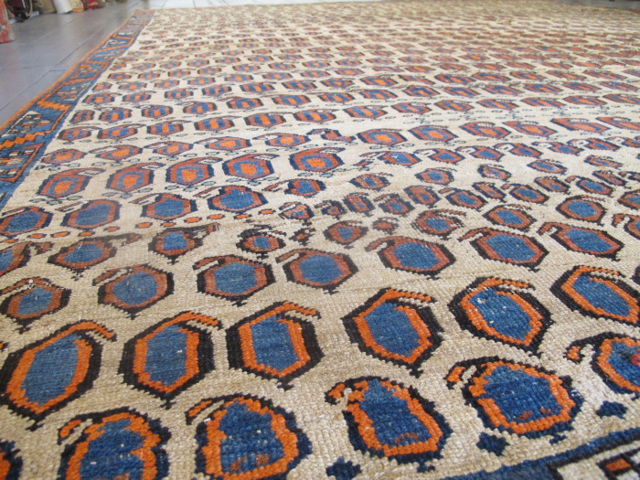 Rare Bakshaish Carpet