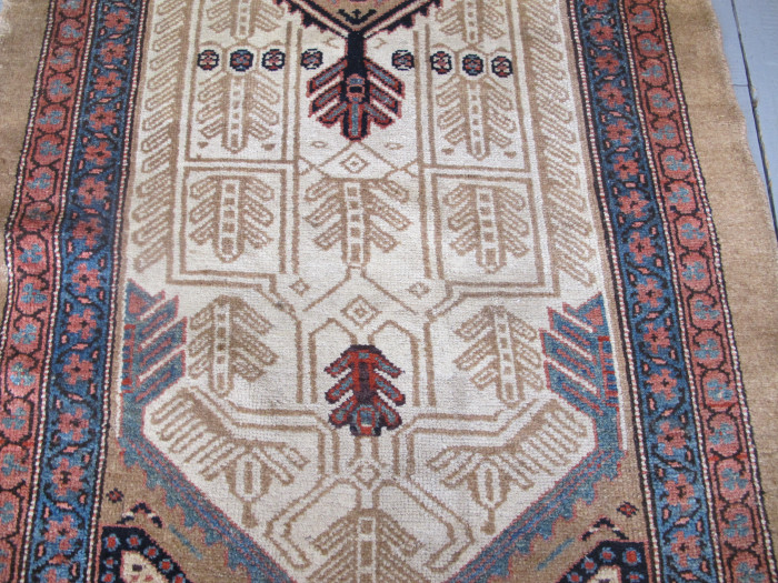 Striking Sarab Runner