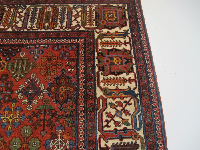 Fine Joshaghan Rug