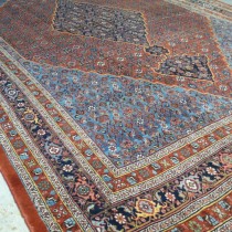 Image of Handsome Bidjar Carpet